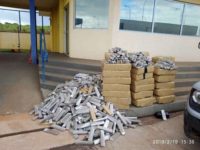 Motorista tenta fugir e é preso com quase 1 tonelada de maconha