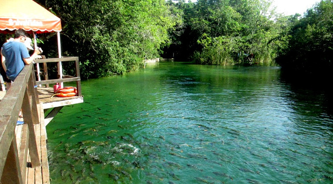 Bonito integra lista de cidades com passeios de aventura inclusivos para cadeirantes