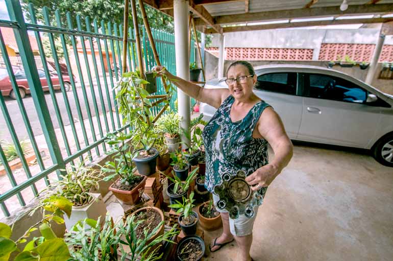 Prefeitura decreta situação de emergência em razão nos aumentos de casos de dengue