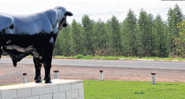 EMPRESAS SÃO CONVIDADAS PARA INICIAR OBRAS DE TERRAPLANAGEM EM POSSÍVEL FÁBRICA DE CELULOSE EM RIBAS DO RIO PARDO