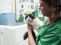 INÉDITO NO PAÍS, SISTEMA DE AGENDAMENTO ON-LINE ACABA COM FILAS E DÁ TRANSPARÊNCIA A SERVIÇO