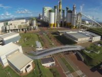 ELDORADO CELULOSE TEM LUCRO DE DE MAIS DE R$ 247 MILHÕES NO PRIMEIRO TRIMESTRE DE 2019