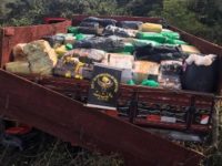 CAMINHÃO É ABANDONADO COM QUASE 4 TONELADAS DE MACONHA EM IGUATEMI