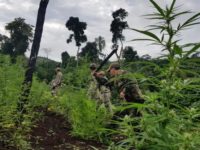 OPERAÇÃO QUE TROUXE MORO AO MS DEIXOU PREJUÍZO DE 58 MILHÕES AO NARCOTRÁFICO