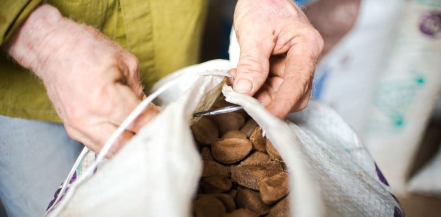 MINISTÉRIO DA AGRICULTURA ANUNCIA MEDIDAS DE ESTIMULO A COOPERATIVAS