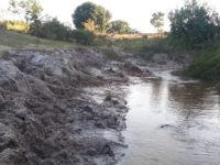 PMA AUTUA INFRATOR EM R$ 25 MIL POR CRIAR GADA EM PROPRIEDADE ALHEIA, DEGRADANDO ÁREAS PROTEGIDAS