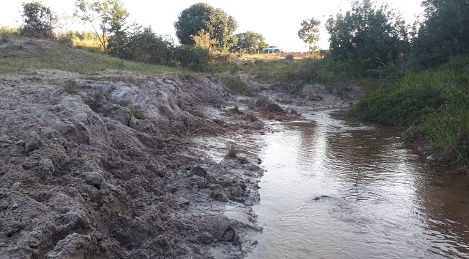 PMA AUTUA INFRATOR EM R$ 25 MIL POR CRIAR GADA EM PROPRIEDADE ALHEIA, DEGRADANDO ÁREAS PROTEGIDAS