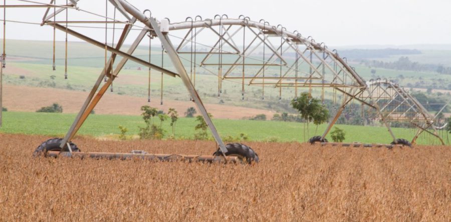 SAFRA RECORDE DE GRÃOS DEVE CHEGAR A MAIS DE 240 MILHÕES DE TONELADAS