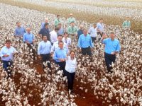 TECNOLOGIA E INOVAÇÃO MARCAM TOUR DO ALGODÃO E INAUGURAÇÃO  DA SEDE DA AMPASUL