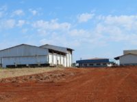 PARCERIA BUSCA SOLUÇÃO DEFINITIVA PARA FRIGORÍFICO DE PEIXES