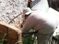 COM AÇÕES EFETIVAS E ESTRATÉGICAS, CAPITAL TEM REDUÇÃO DE 100% DAS ÁREAS EM RISCO PARA INFESTAÇÃO DO AEDES