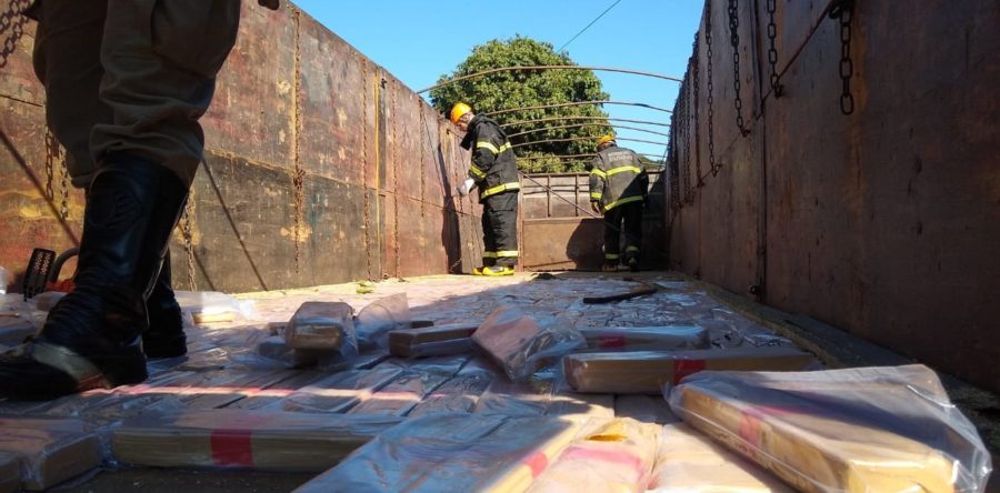 COM AJUDA DE CÃES FAREJADORES, PRF APREENDE GRANDE QUANTIDADE DE DROGA EM CARRETA