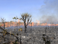 GOVERNO ESTUDA ENVIAR EXÉRCITO PARA APAGAR QUEIMADAS NA AMAZÔNIA