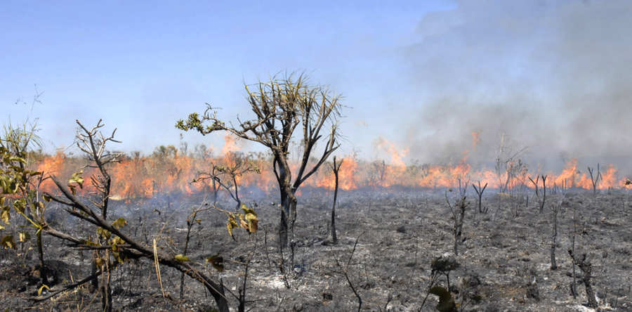 GOVERNO ESTUDA ENVIAR EXÉRCITO PARA APAGAR QUEIMADAS NA AMAZÔNIA