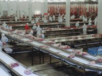 MAIS 25 FRIGORÍFICOS SÃO AUTORIZADOS A EXPORTAR PARA CHINA