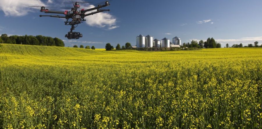 NOVAS TECNOLOGIAS DIGITAIS AUXILIAM PRODUÇÃO NO CAMPO