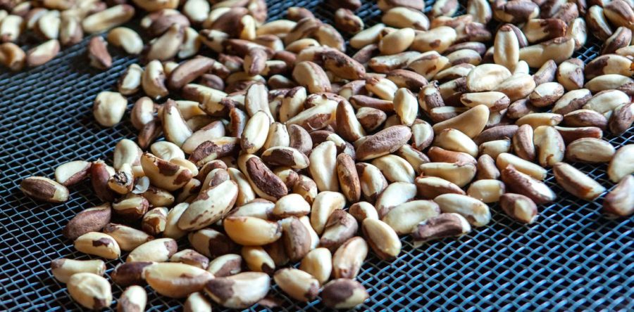 ARÁBIA SAUDITA ANUNCIA COMPRA DE FRUTAS, CASTANHAS E OVOS DO BRASIL