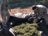 SENAD-PY DESTRÓI 22 ACAMPAMENTOS DO TRÁFICO NA FRONTEIRA