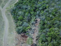 HOMEM É MULTADO EM 26 MIL APÓS ABRIR ESTRADA EM ÁREA PROTEGIDA