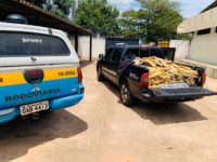 POLICIA MILITAR RODOVIÁRIA APREENDE MAIS DE 700 KG DE DROGAS