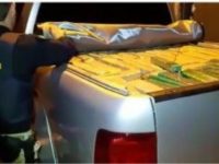 POLÍCIA APREENDE CAMINHONETE COM MAIS DE 1 TONELADA DE MACONHA