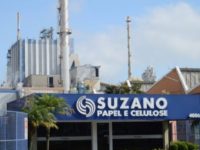 SUZANO ANUNCIA COMPRA DE TERRAS E LICENÇA PARA INSTALAÇÃO DE  FÁBRICA DE CELULOSE EM RIBAS DO RIO PARDO