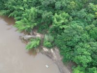 LAUDO DO IMASUL CONCLUI SER FENÔMENO NATURAL MATERIAL ORGÂNICO QUE OBSTRUIU LEITO DO RIO MIRANDA
