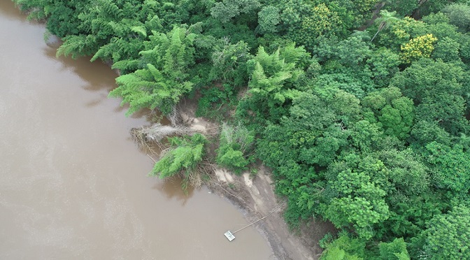 LAUDO DO IMASUL CONCLUI SER FENÔMENO NATURAL MATERIAL ORGÂNICO QUE OBSTRUIU LEITO DO RIO MIRANDA