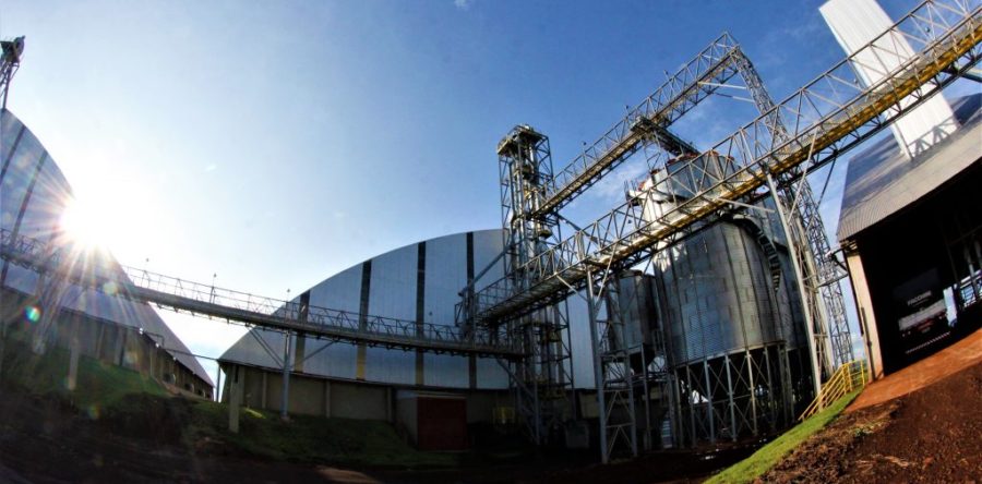 INDUSTRIA CHINESA TEM META DE PRODUZIR PLÁSTICO E CAMISETA DO MILHO EM MS