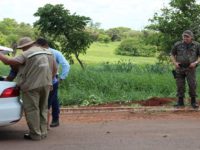IMASUL APREENDE 343 KG DE PESCADO IRREGULAR EM TRÊS DIAS DE REFORÇO NA OPERAÇÃO PIRACEMA
