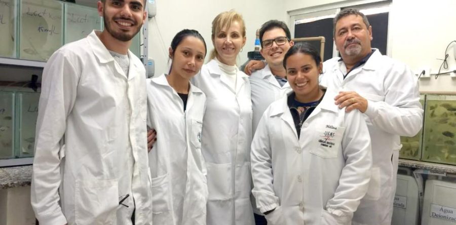 PESQUISADORES DA UFGD CRIAM DETERGENTE QUE ELIMINA LARVAS DO MOSQUITO DA DENGUE