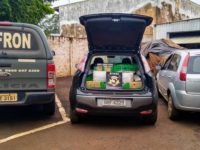 POLÍCIA APREENDE MAIS DE MEIA TONELADA DE DROGAS E RECUPERA CARROS ROUBADOS
