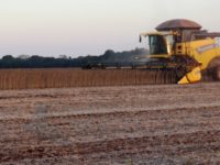 MP DO AGRO ABRE CAMINHO PARA COOPERATIVAS OPERAREM RECURSOS DO FCO