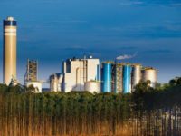 SUZANO DOARÁ 15 RESPIRADORES E 80 MIL MÁSCARAS PARA MS