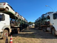 DETRAN SE ORGANIZA PARA OS PRÓXIMOS LEILÕES